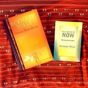 Eckhart Tolle  inspirational Book and card bundle